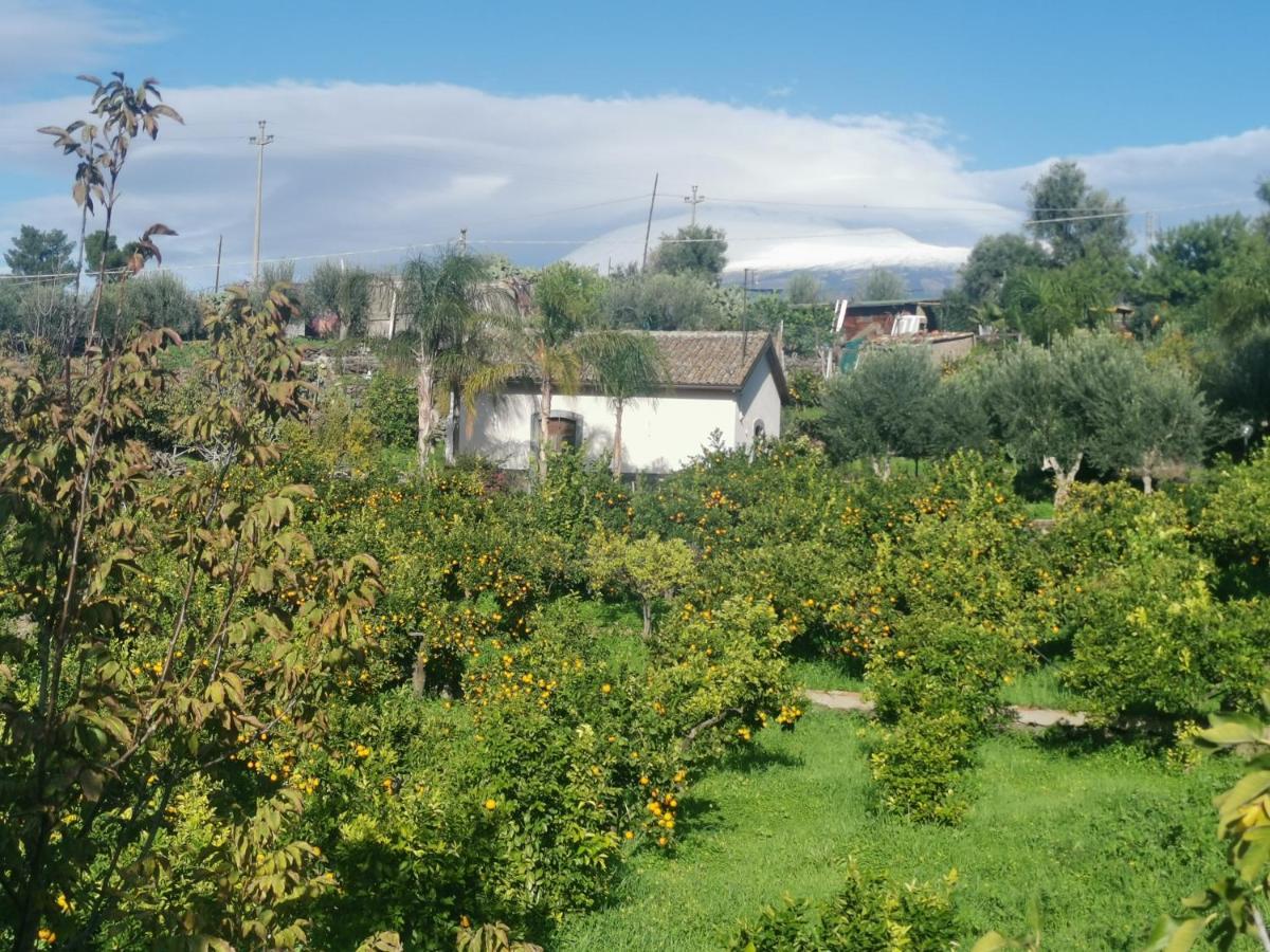 Penzion La Fattoria Dei Nonni Paterno  Exteriér fotografie