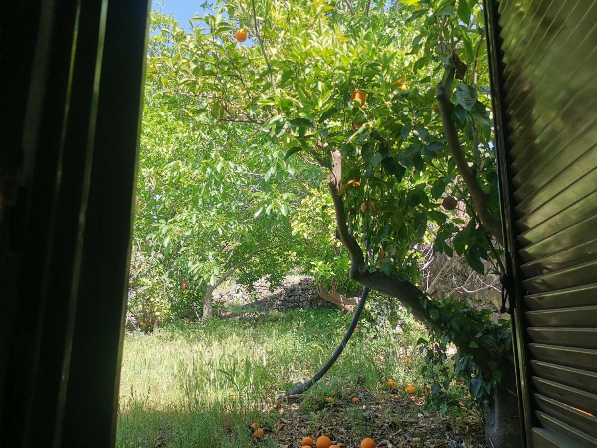 Penzion La Fattoria Dei Nonni Paterno  Exteriér fotografie