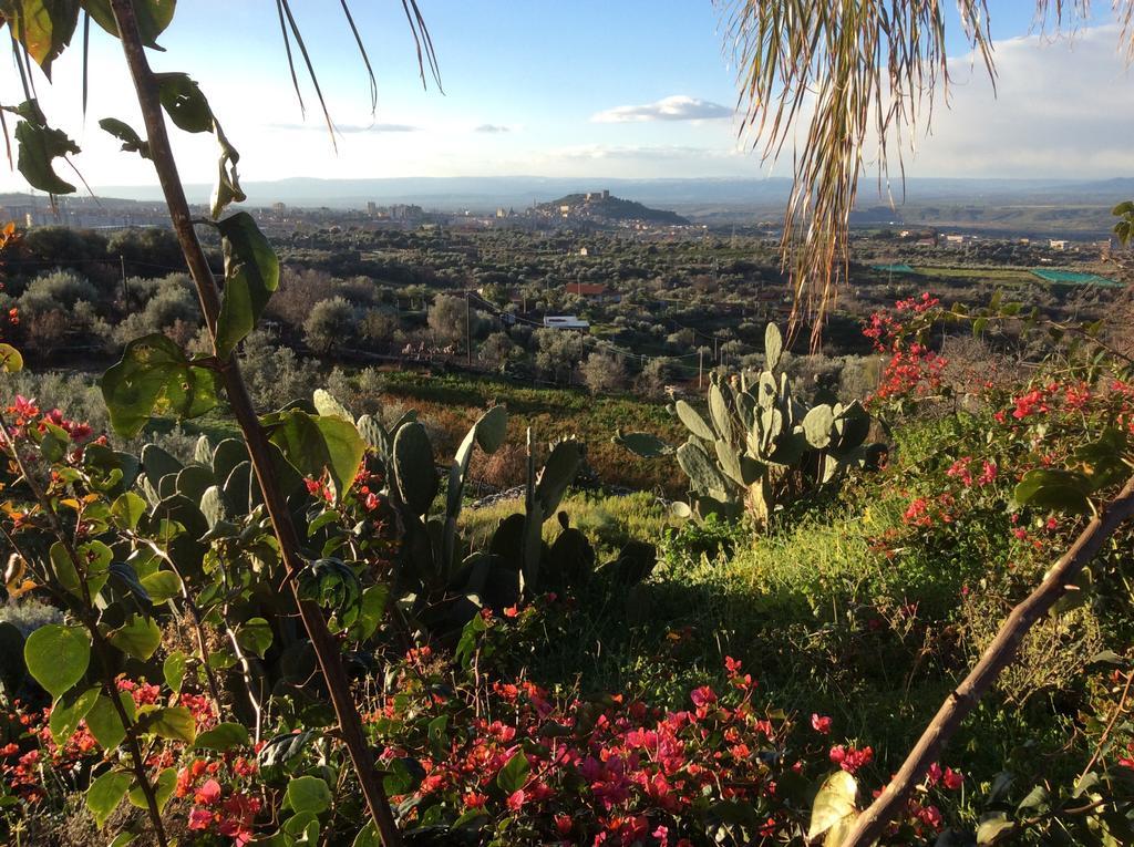 Penzion La Fattoria Dei Nonni Paterno  Exteriér fotografie